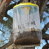 Insective Bolsa Atrapa Moscas XL