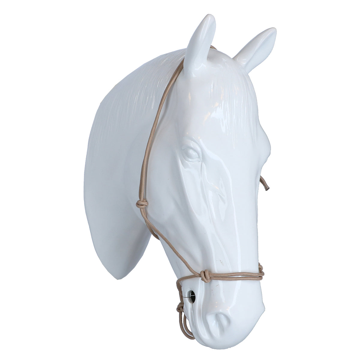 Riding World Cabezada Fine Ethologisch Beige