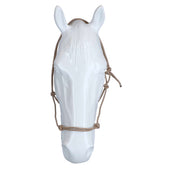 Riding World Cabezada Fine Ethologisch Beige