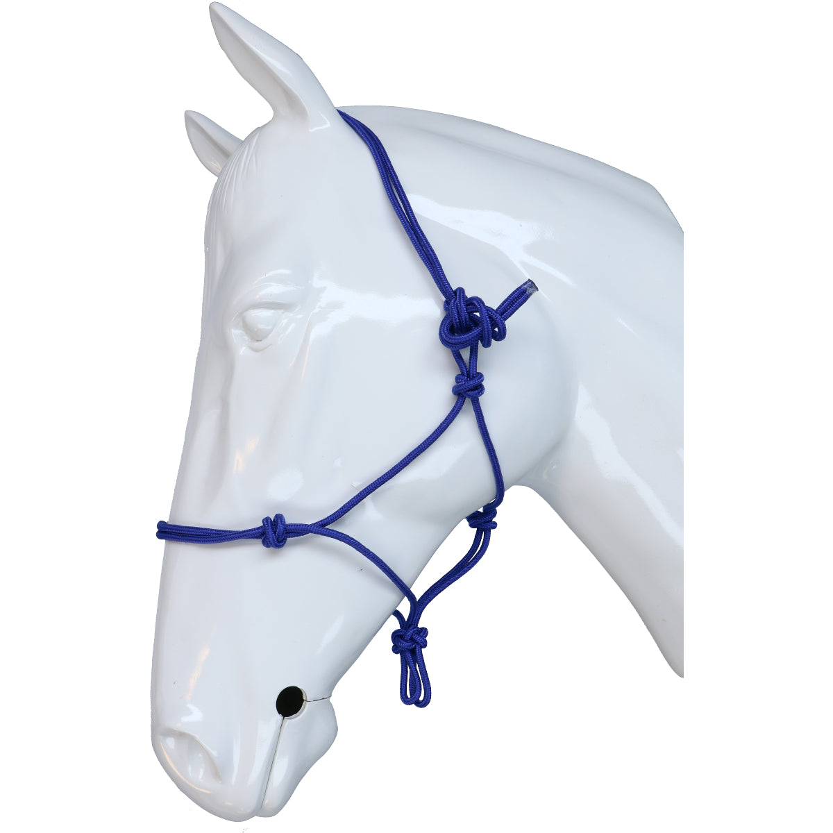 Riding World Cabezada Fine Ethologisch Azul Real