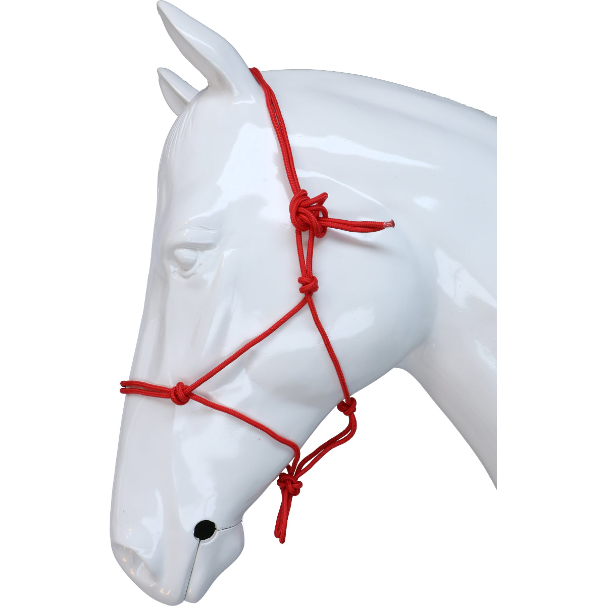 Riding World Cabezada Fine Ethologisch Rojo