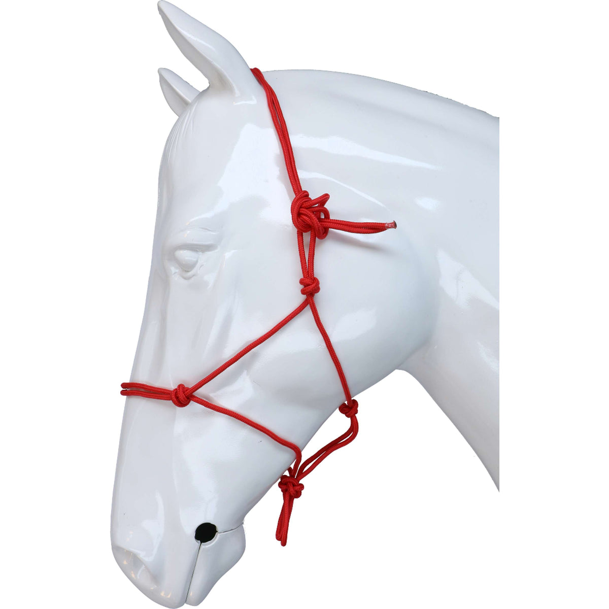 Riding World Cabezada Fine Ethologisch Rojo