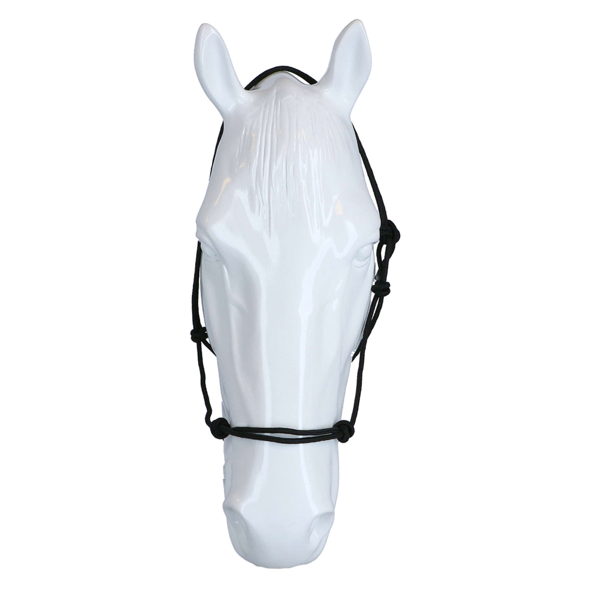 Riding World Cabezada Fine Ethologisch Negro