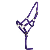 Norton Cabezada Nylon Morado