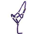 Norton Cabestro para Potro con línea Morado