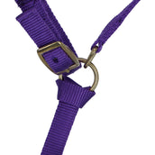 Norton Cabezada Nylon Morado