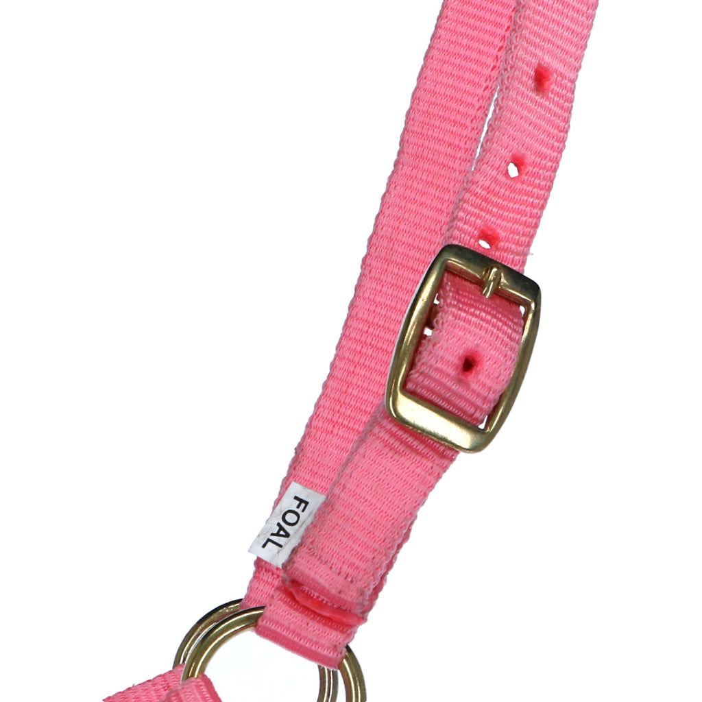 Norton Cabestro para Potro con línea Rosa