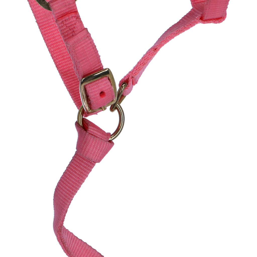 Norton Cabestro para Potro con línea Rosa