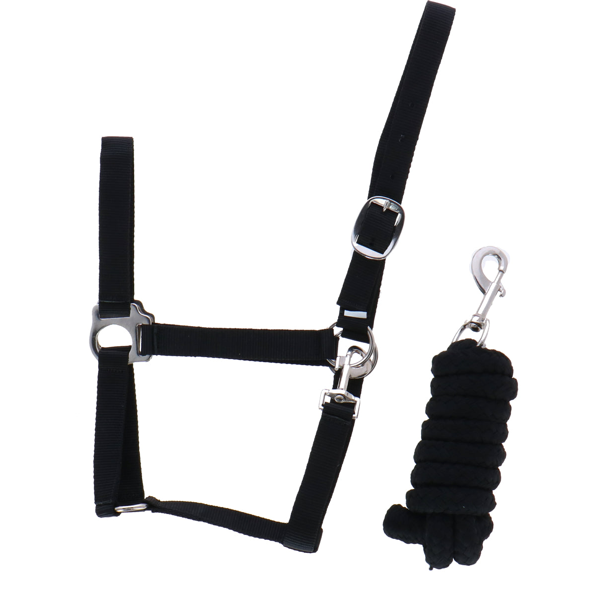 Riding World Juego de Cabestro Club con Cuerda Negro
