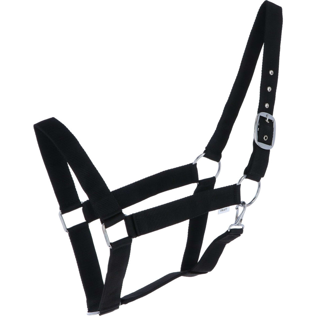 Norton Cabestro para Caballo de Tiro Negro