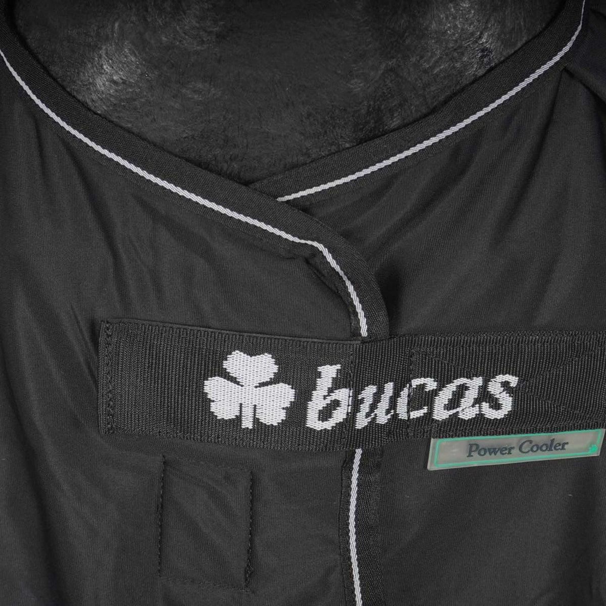 Bucas Panel Prize Cooler Black/Silver