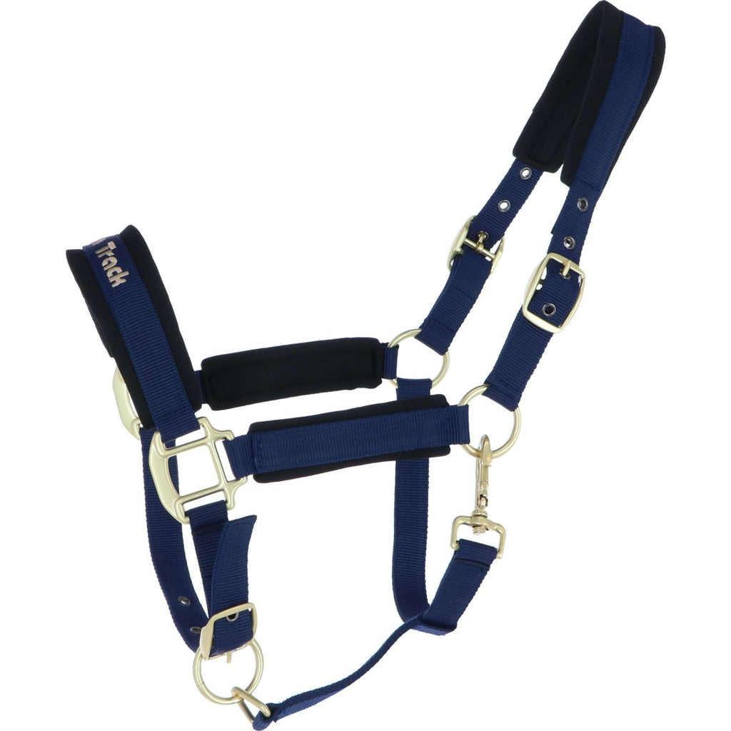 Back on Track Cabestro Werano Azul