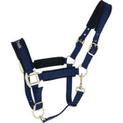 Back on Track Cabestro Werano Azul