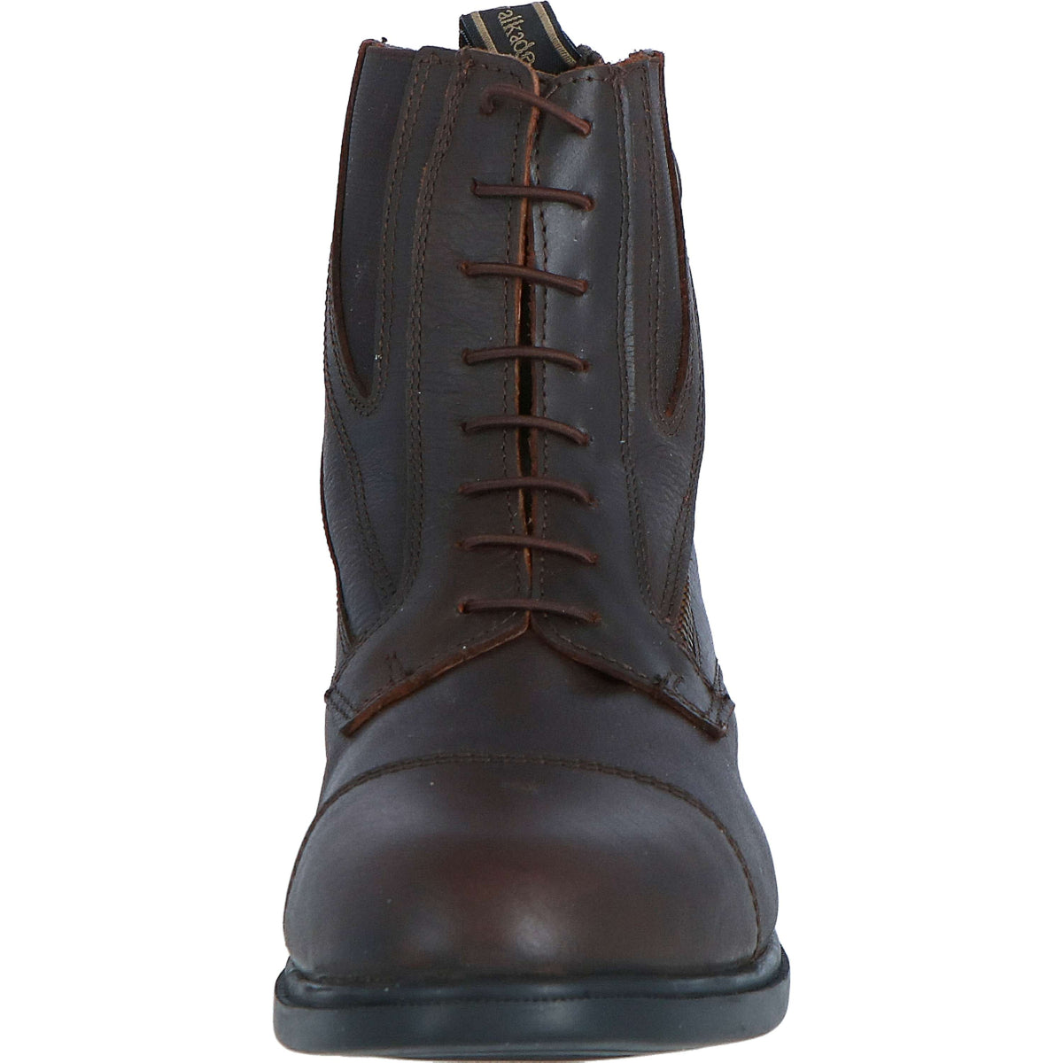 Kavalkade Botines Romulus Marron