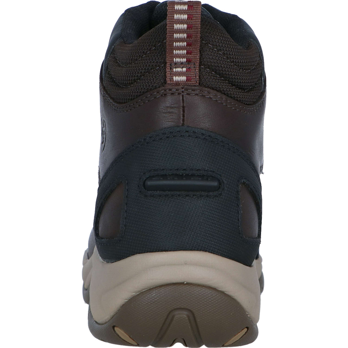 Ariat Botas de Establo Telluride Zip H2O Woman's Marron oscuro