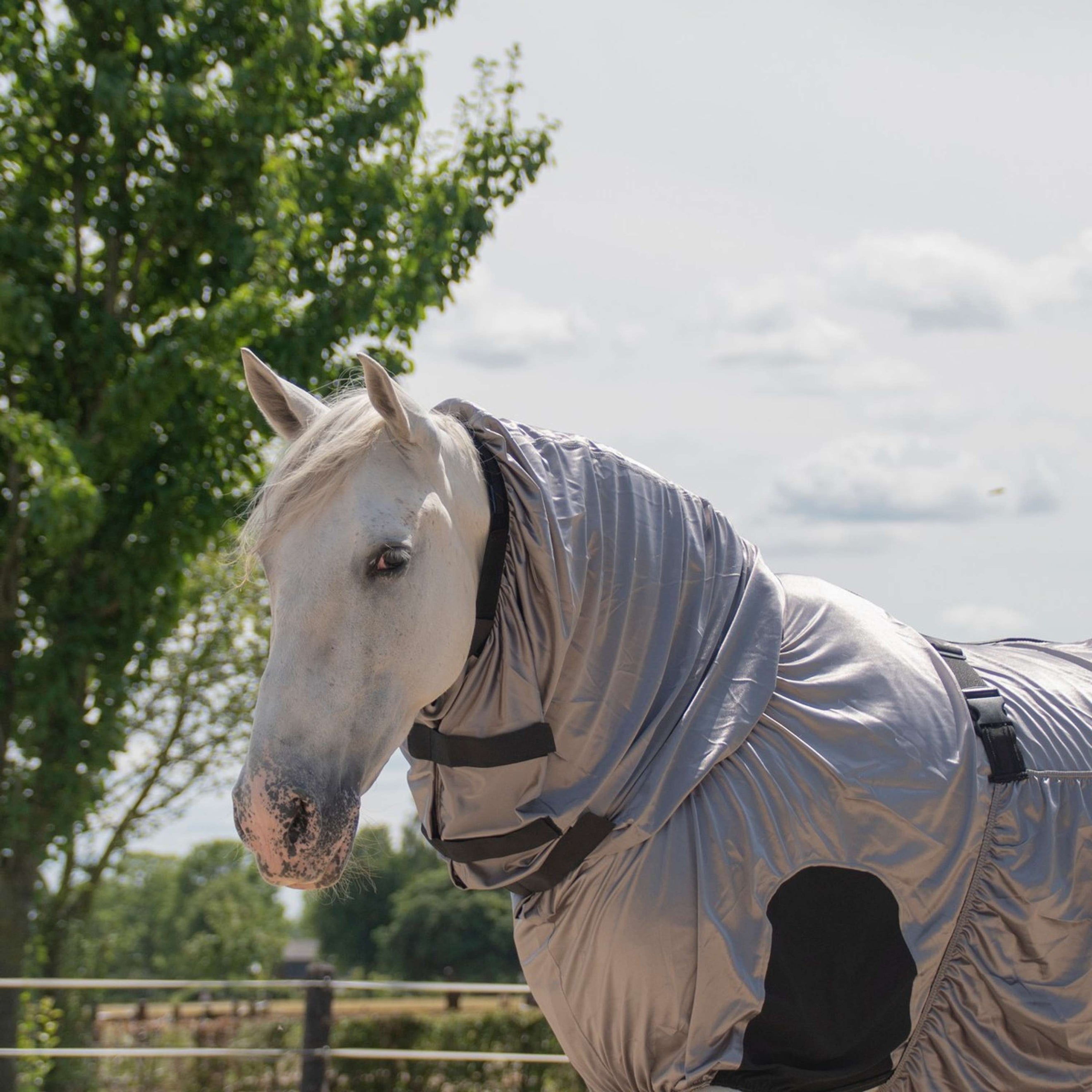 Harry's Horse Manta antimoscas/Eccema UV