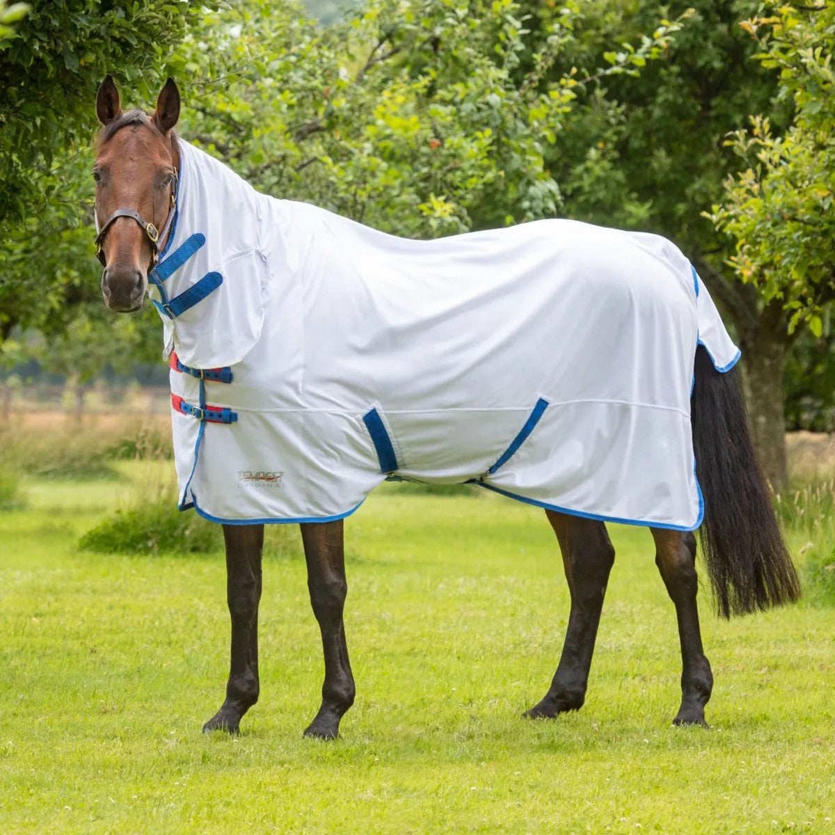 Tempest Original by Shires Manta Antimoscas Fly Combo Blanco