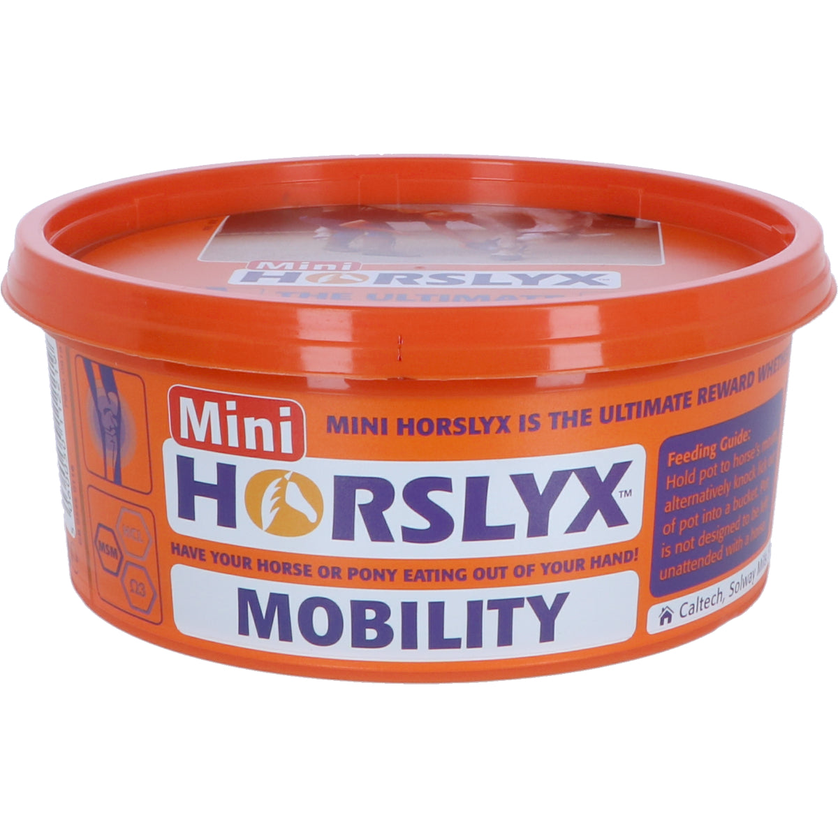 Horslyx Piedra de Lamer Original