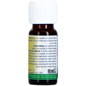 cdVet Spray de Verano InsektoVet Concentrado