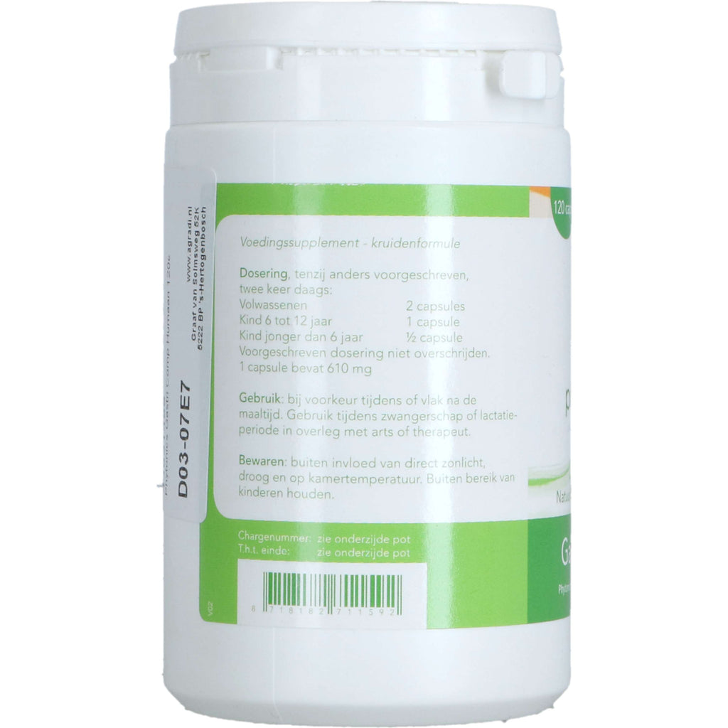 Phytonics Comp Gastri Humano