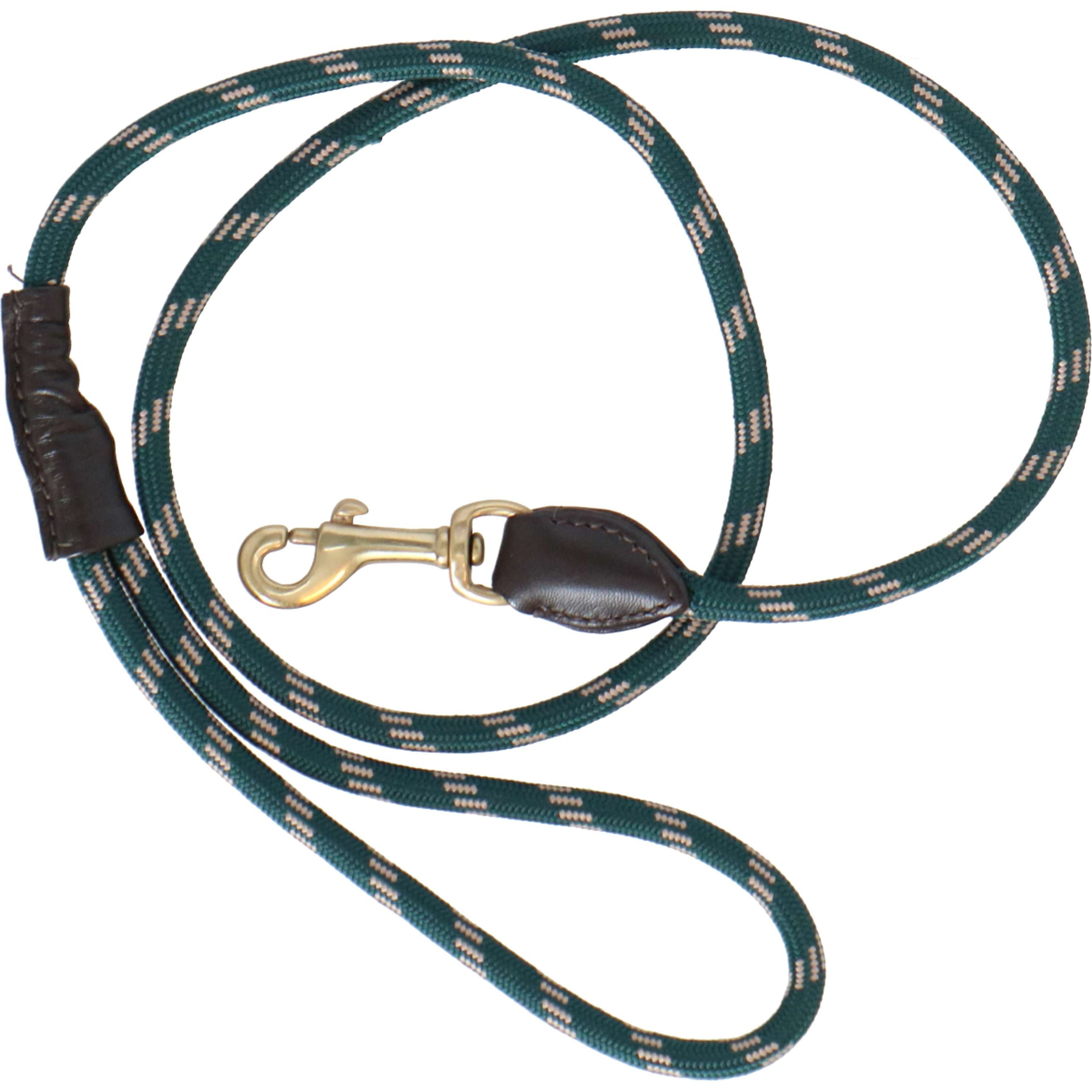 WeatherBeeta Dog Lead Cuerda De Cuero Hunter Green/Brown