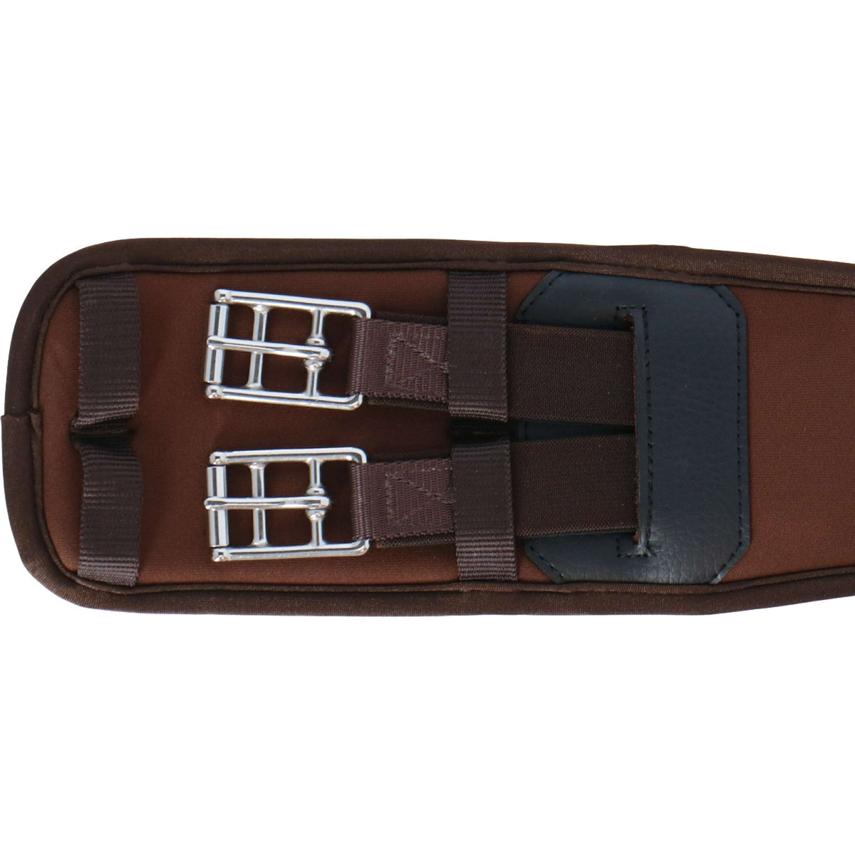 Collegiate Cincha de doma Memory Foam Marron