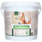 Vitalstyle Cubos OerBalans Cubo