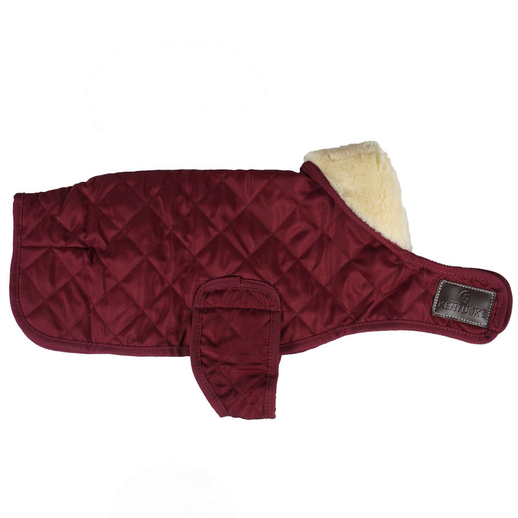 Kentucky Dogwear Dog Rug Bordeaux