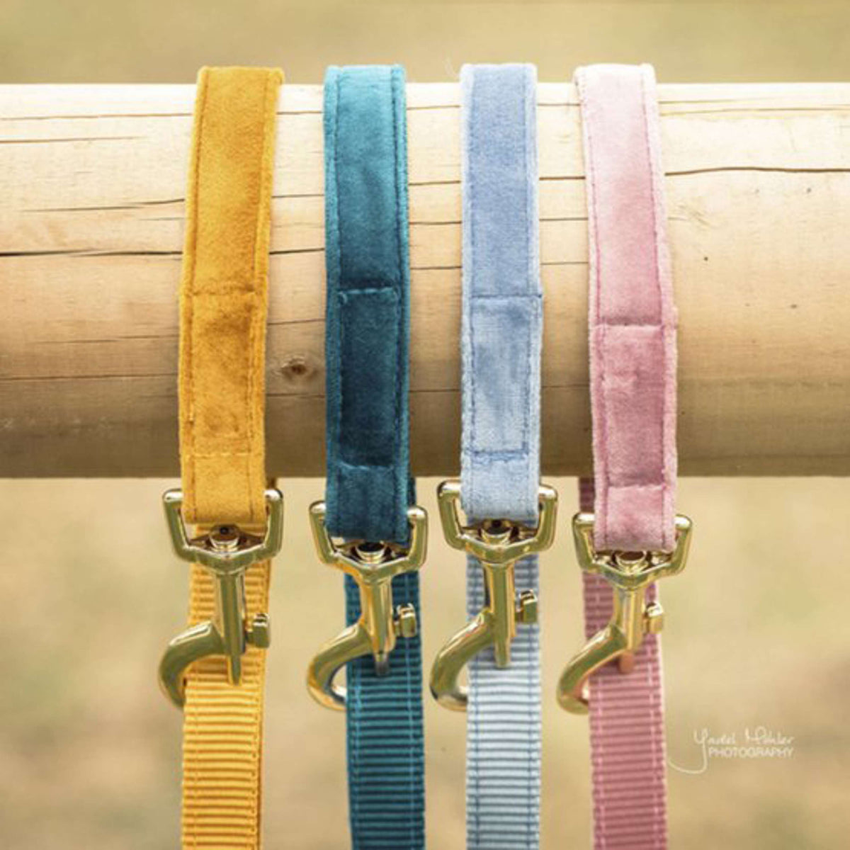 Kentucky Dogwear Correa para Perro Velvet Esmeralda