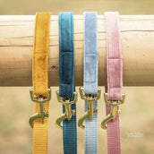 Kentucky Dogwear Correa para Perro Velvet Esmeralda