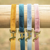 Kentucky Dogwear Correa para Perro Velvet Old Rose