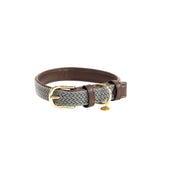 Kentucky Dogwear Collar Gris