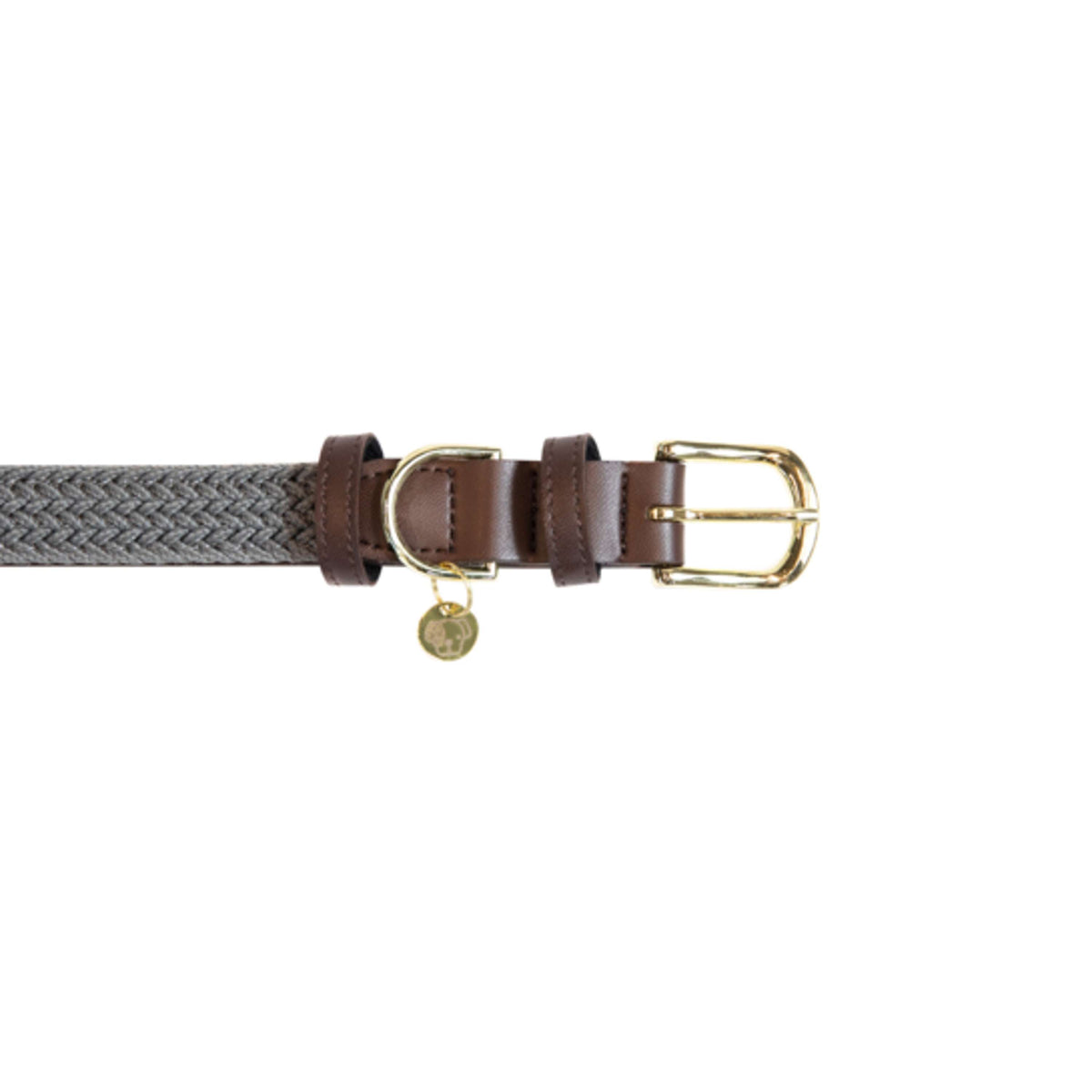 Kentucky Dogwear Collar Gris