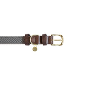 Kentucky Dogwear Collar Gris