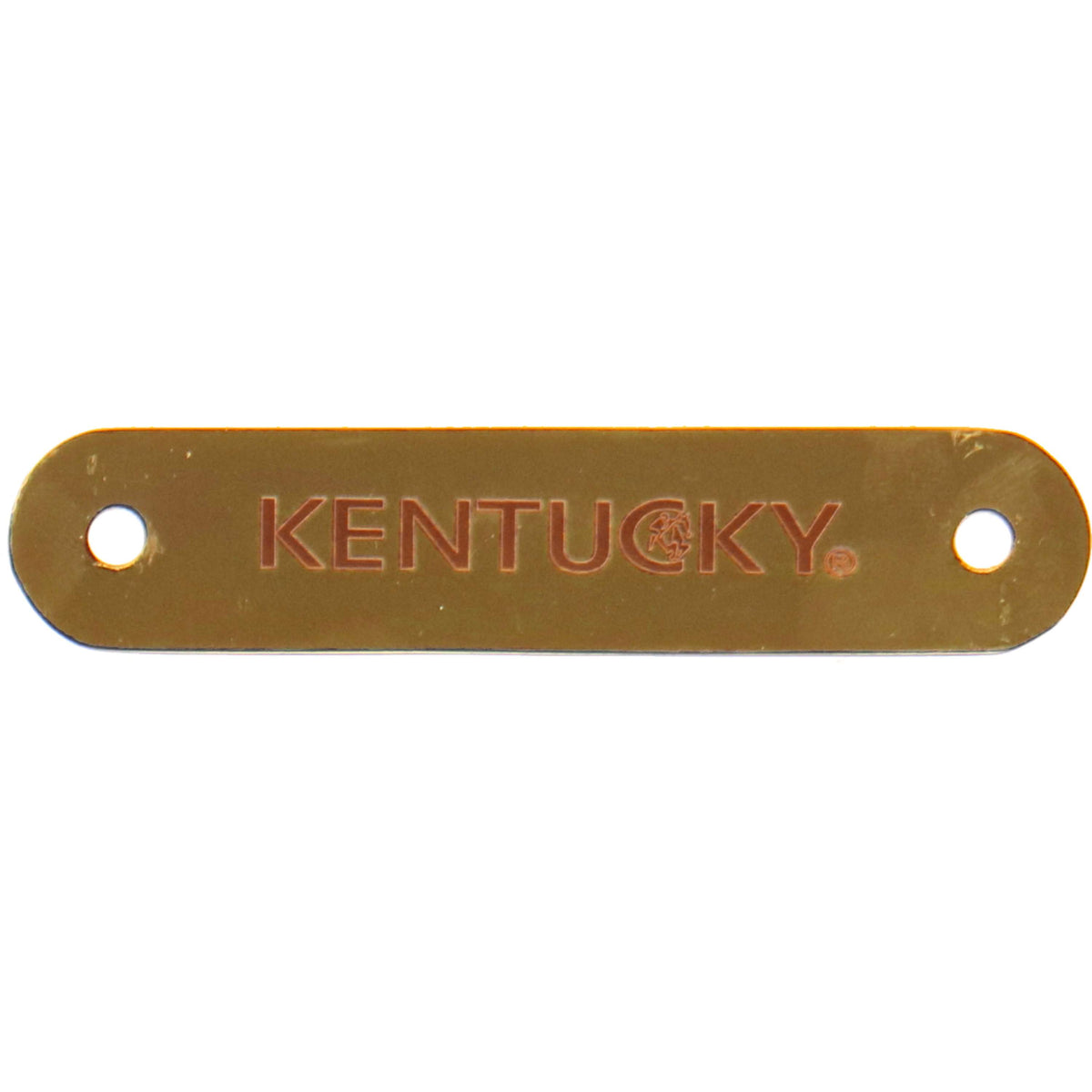 Kentucky Horsewear Placa de Nombre para el cabestro Gold