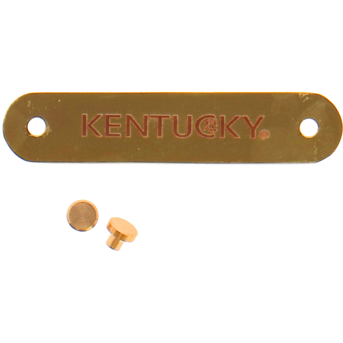 Kentucky Horsewear Placa de Nombre para el cabestro Gold