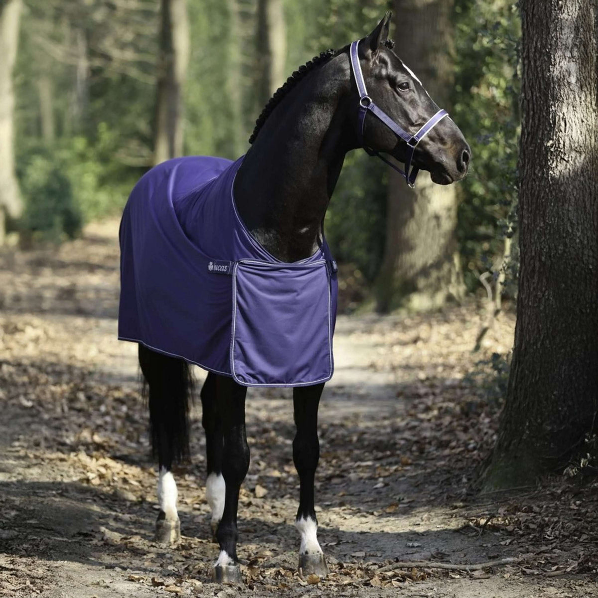 Bucas Cooler Panel Prize Navy/Plata