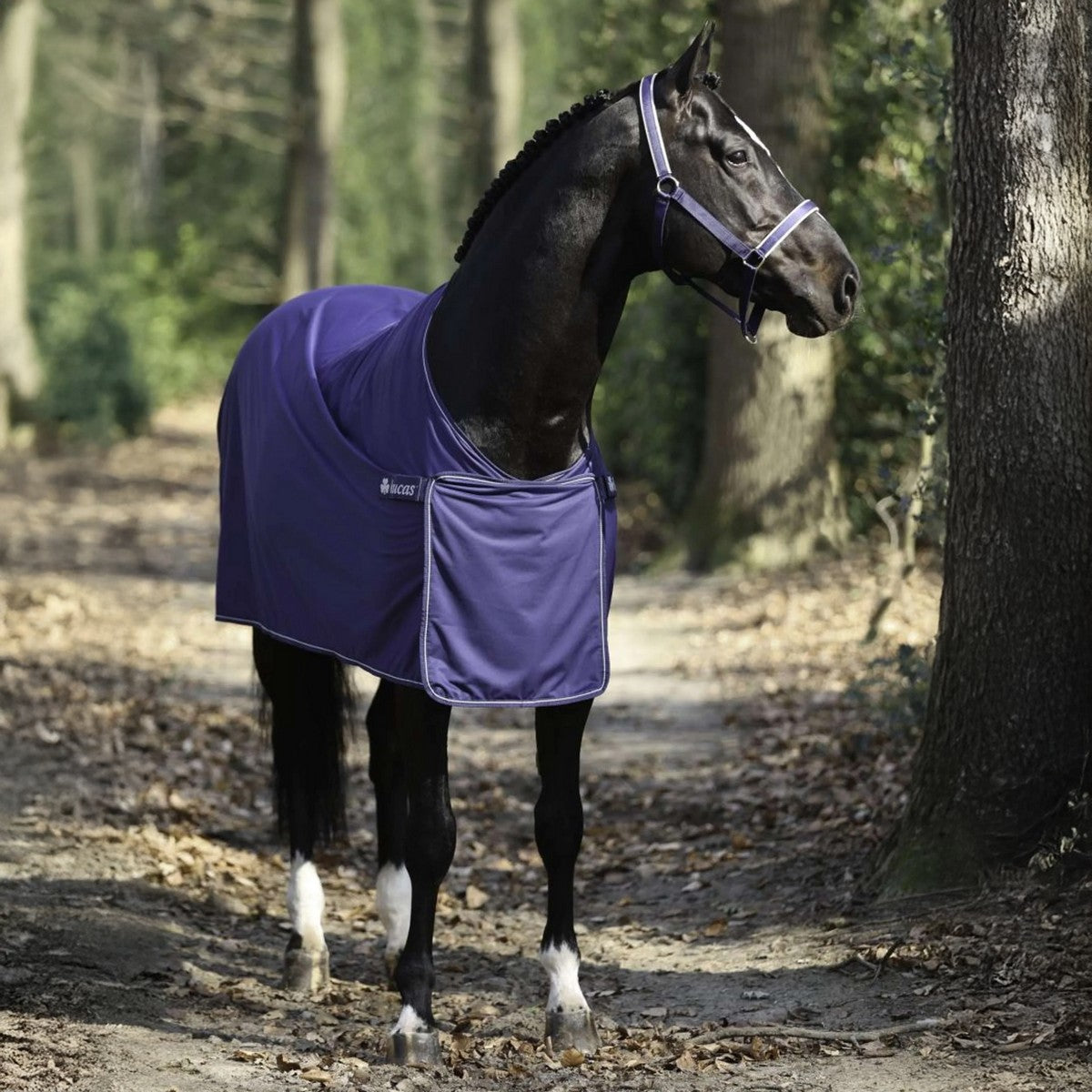 Bucas Cooler Panel Prize Navy/Plata