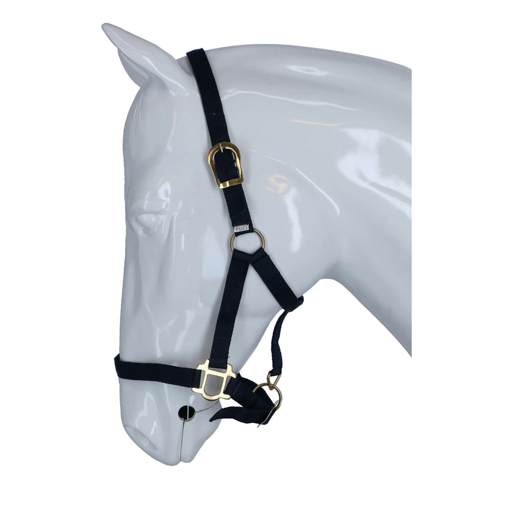 Riding World Cabestro Negro