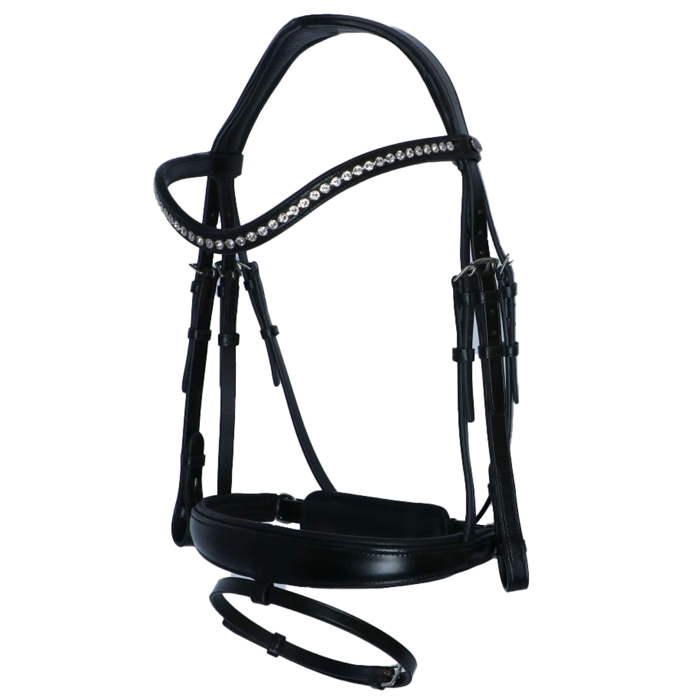 Passier Brida Atlas Negro/Plata