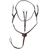 Passier Arnés Frontal Ingrid Klimke Habana/Plata