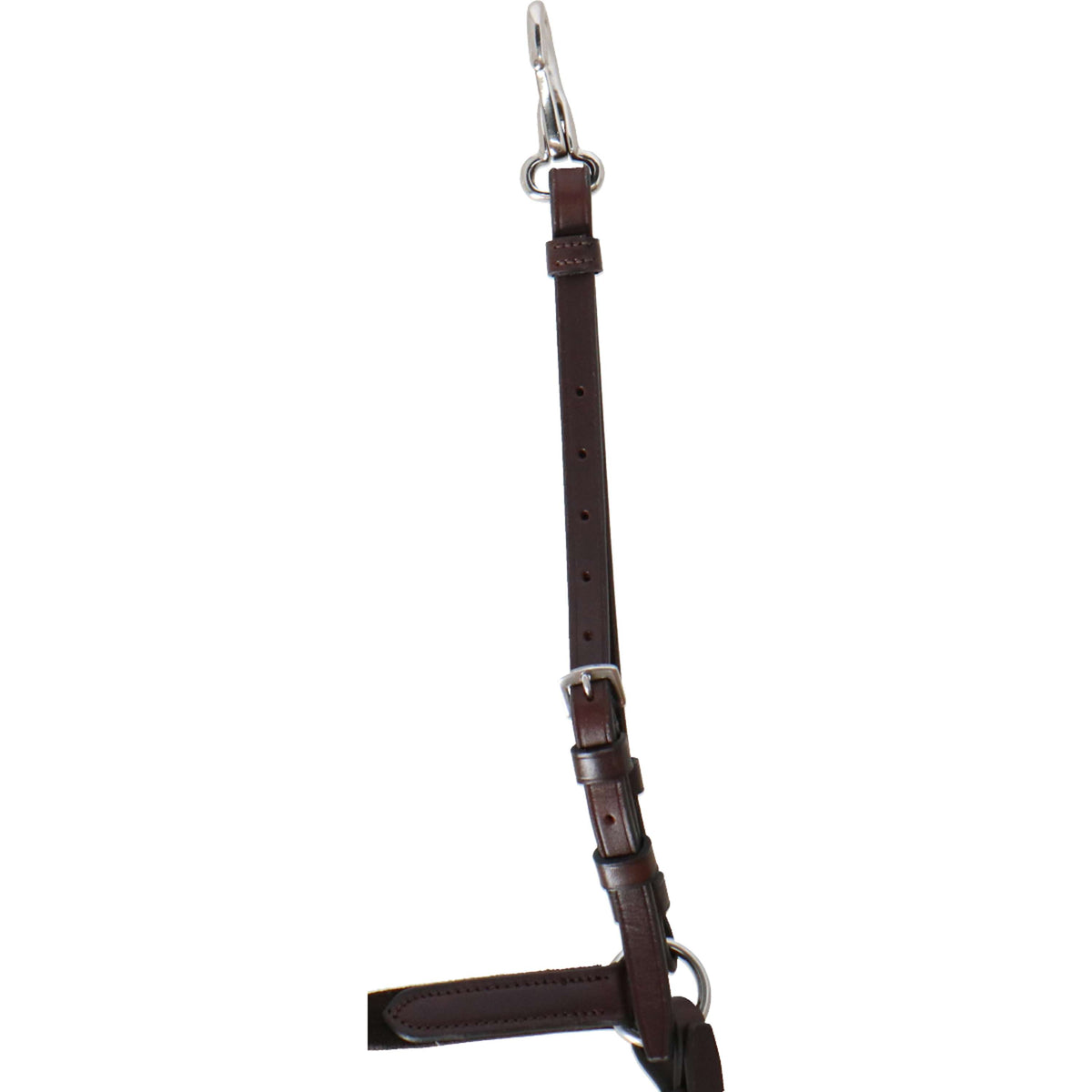 Passier Arnés Frontal Ingrid Klimke Habana/Plata