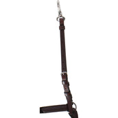 Passier Arnés Frontal Ingrid Klimke Habana/Plata