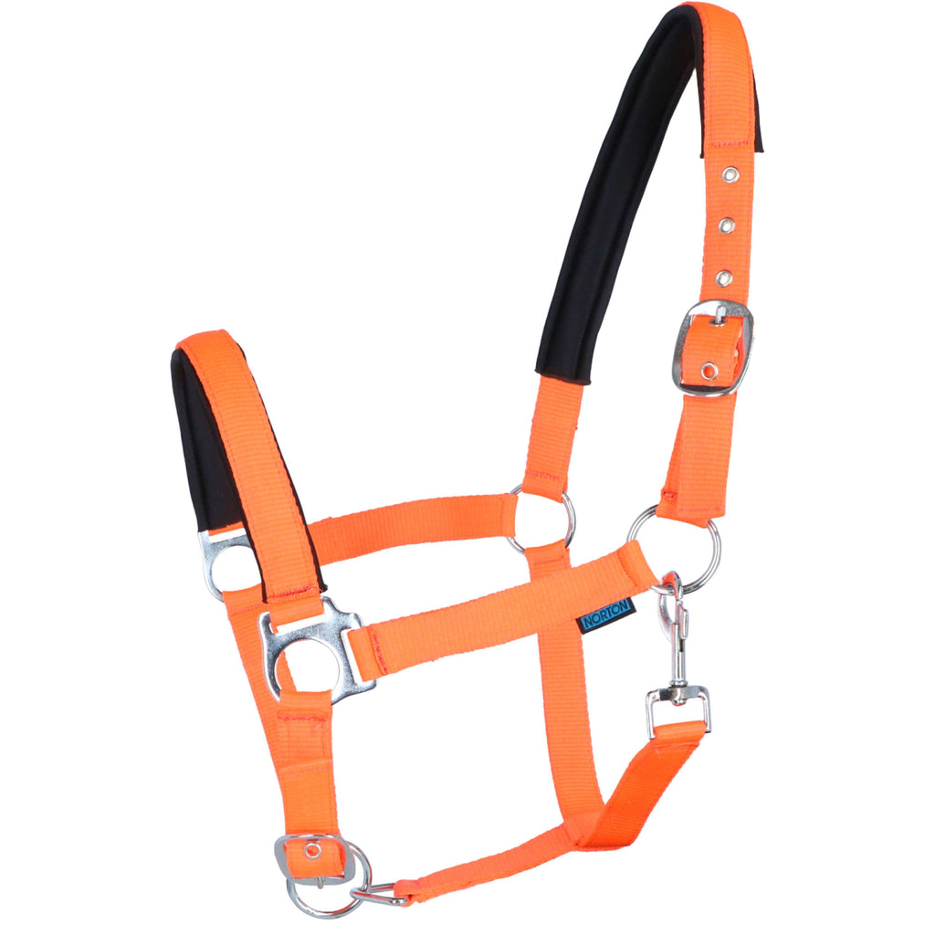 Norton Cabestro Fluo Elevado Naranja