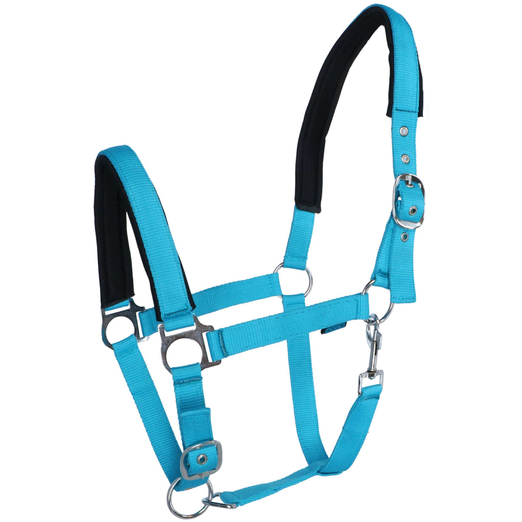 Norton Cabestro Fluo Elevado Azul