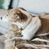 Kentucky Dogwear Halsband Lana Beige