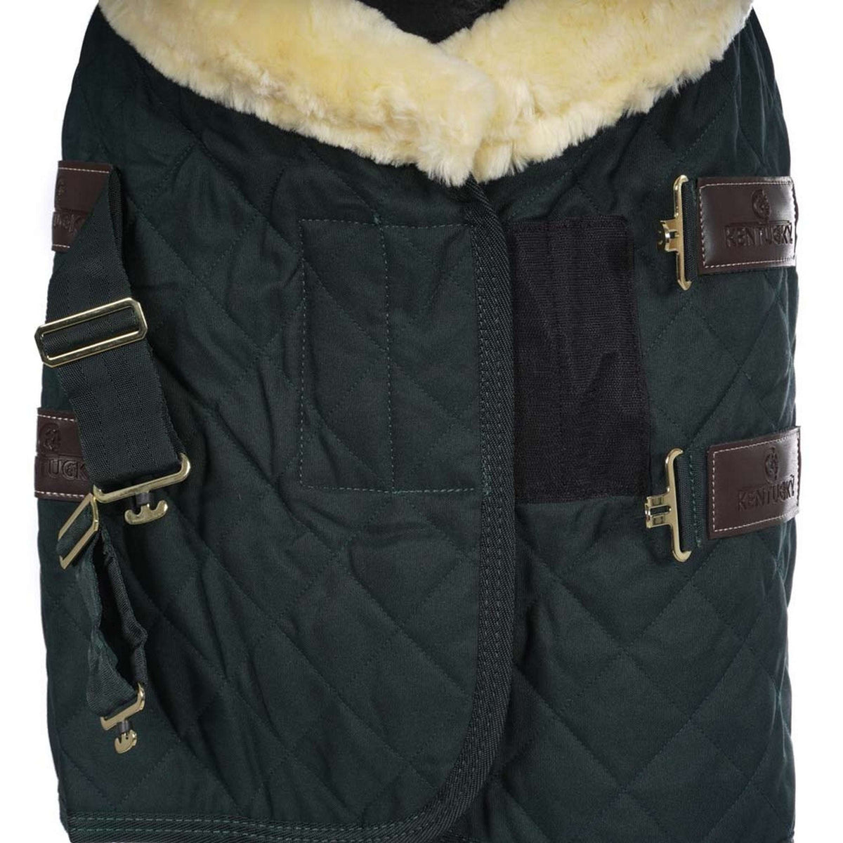 Kentucky Horsewear Manta de exhibición 160g Verde Oscuro