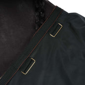 Kentucky Horsewear Manta de Invierno All Weather 160g Verde Oscuro
