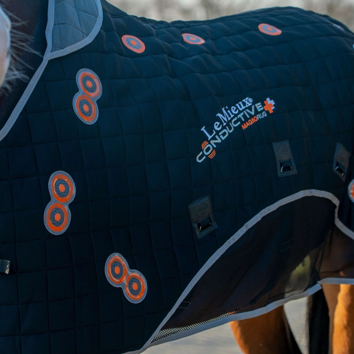 LeMieux Boots Conductive Magnotherapy Negro