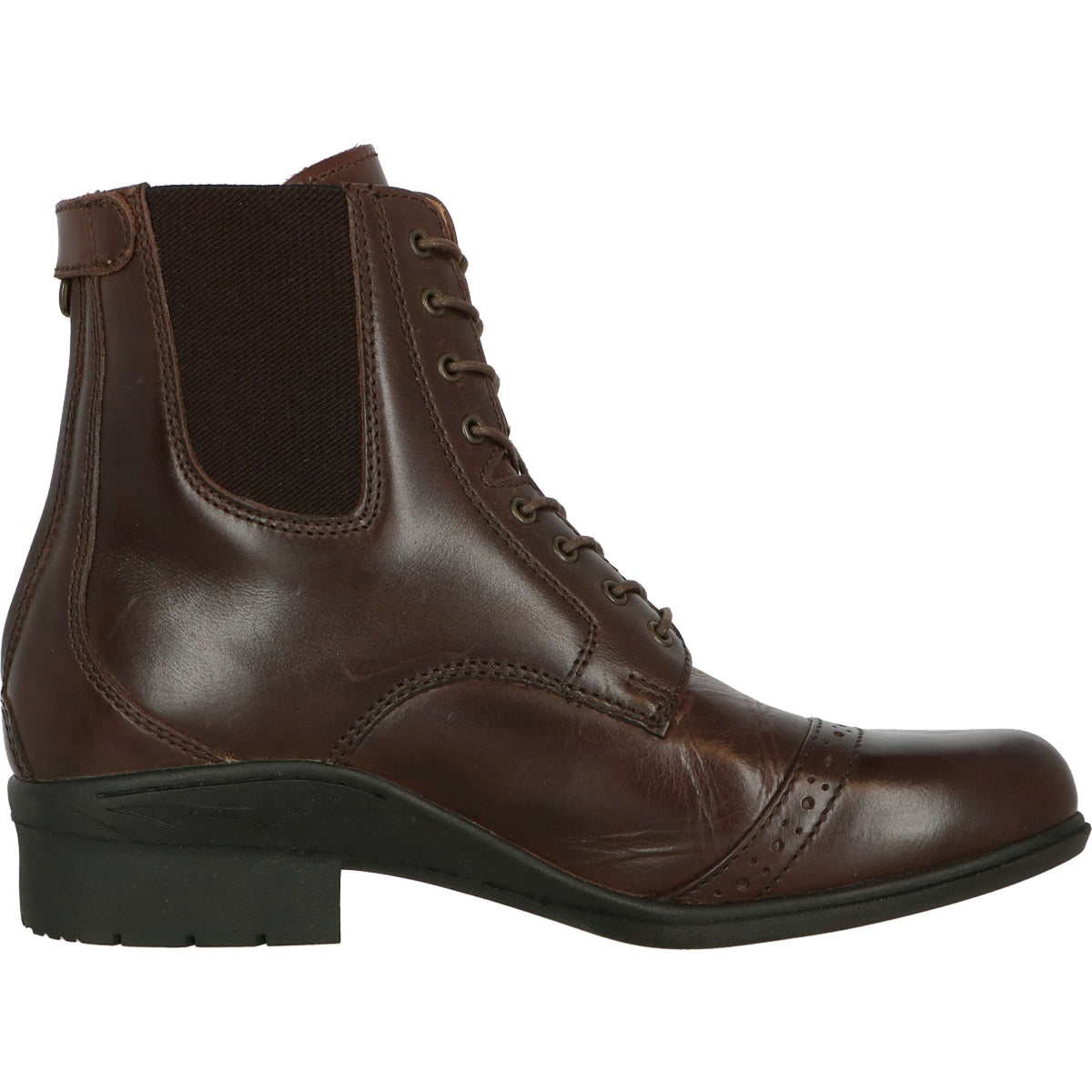Mountain Horse Paddock Boots Aurora Back Zip Marron